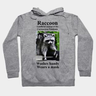 Raccoon - Mascot Of The Coronavirus Pandemic Hoodie